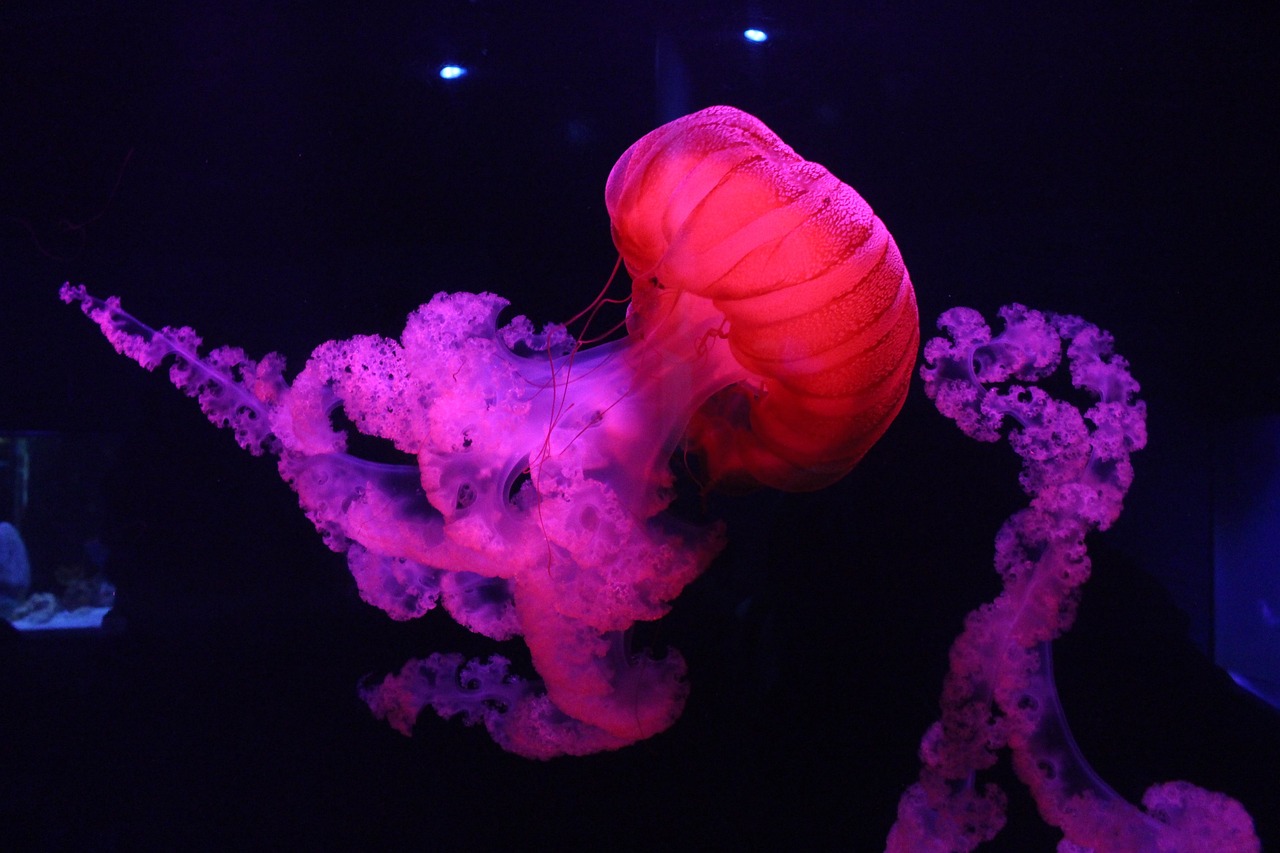 Can Metaphysics Provide Answers to Life's Biggest Questions?